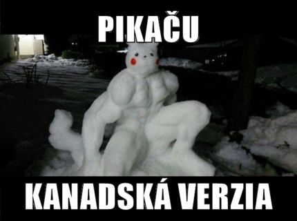 Ako vyzerá pikaču na kanadský spôsob :D