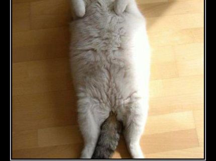 Takto vypadáš ty...