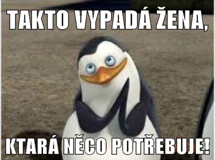 Takto vypadá žena........
