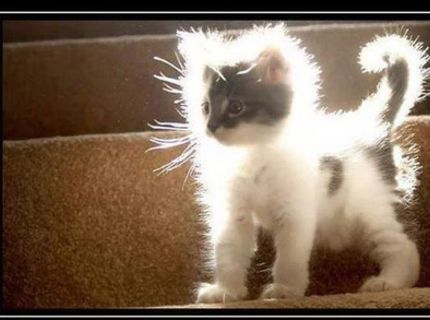 Statická energia a jej roztomilá obeť :D