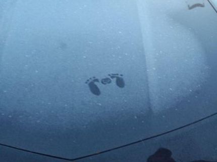 Najroztomilejšie stopy na svete :D Uhádnete, čo to bolo za tvora? :D