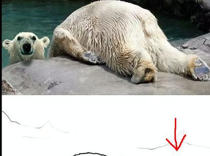 Krásne :) Roztomilá foto v ZOO :D