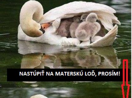 Materská loď.... Aké rozkošné :)