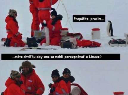 O čom sa chcú baviť tučniaci :D