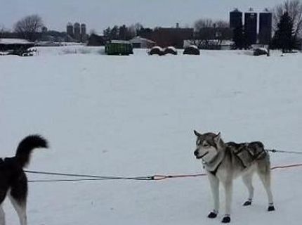 Tak toto si ešte nevidel :D Defekt pneumatiky na Aljaške :D