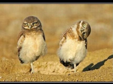 Každý z nás pozná nejakého retarda :D