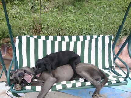 Najhaluznejšia fotka (Súťaž)