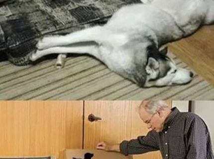 Ako to môže dopadnúť, keď zle pospájate súčiastky :D