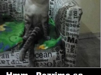 Ako sa tvári vaša žena, keď prídete neskoro domov :D