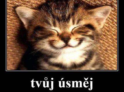 usměv je nejduležitější věc na světě