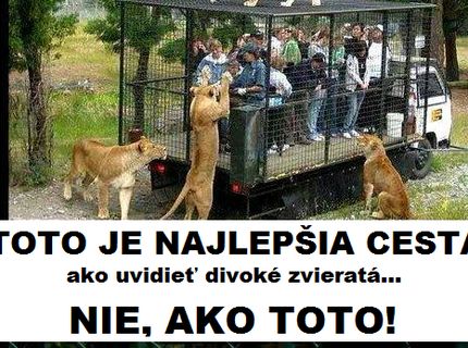 Najlepší spôsob, ako uvidieť v blízkosti divoké zvieratá :D