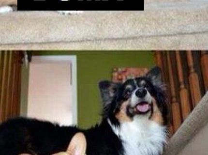 Ten typický výraz -doma a na verejnosti :D