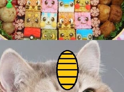 Najúžasnejšie kreácie z jedla v téme pokémonov :D No nevyzerá to chutne? :)