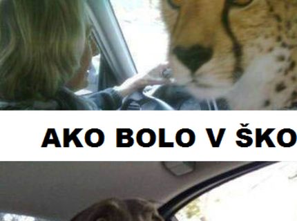 Ako môže vyzerať nepríjemné prekvapenie :D