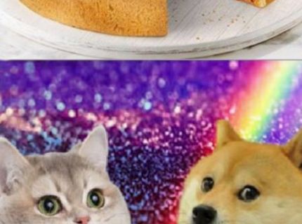 Zisti, ako vyzerá najväčší pizza koláč, aký si kedy videl :D