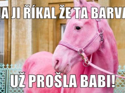 Prošlá barva
