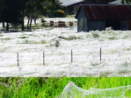 Zdanie môže niekedy klamať :D Tu je dôkaz :D