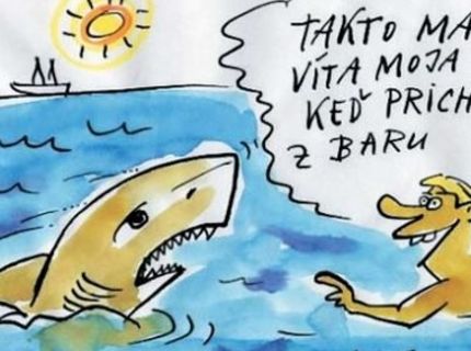 Ako sa tvári vaša priateľka, keď sa vrátite domov z baru :D