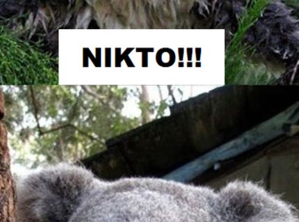 Ako vyzerá skutočný hnev :D