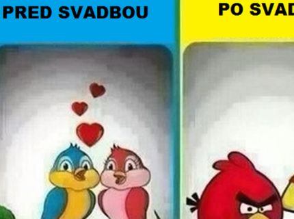 Tak toto musíš vidieť! Zábavný príklad, ako dopadneš po svadbe :D
