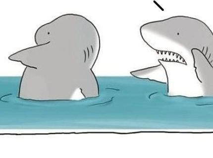 Ako môže vyzerať žraločí fail :D