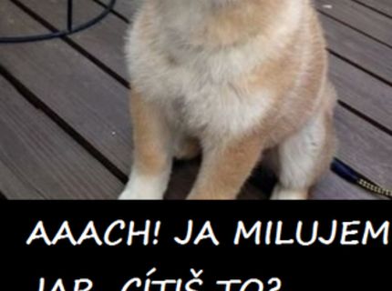 Ako vnímajú jar alergici :D