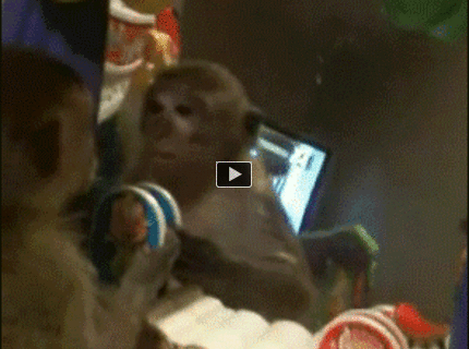 BRATM GIF: Čo sa môže stať, keď sa ráno pozrieš do zrkadla :D