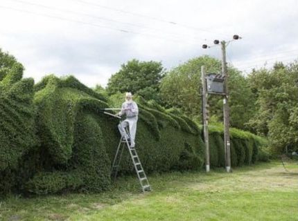 Pozrite si tohoto pána a jeho záhradné umelecké dielo :)
