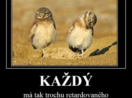 Každý má ...