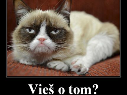 grumpy cat!! :D