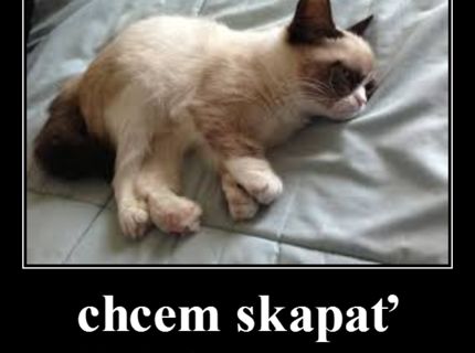 nenavidim duckfacesy -_-