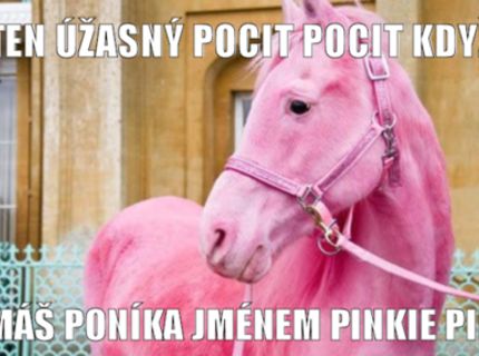 MLP-Poník :D