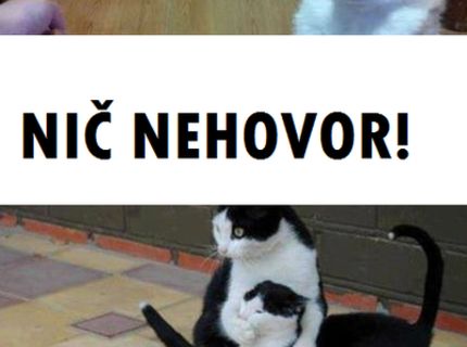 HA-HA :D Ako zákerné dokážu byť mačky :D