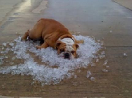 Ako zistíš, že je naozaj skutočne teplo? :D