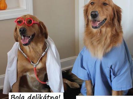 Najroztomilejšia dvojka doktorov, akú si kedy videl :D