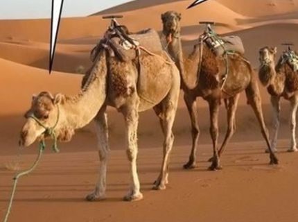 Tak tomuto sa povie LÁSKA :D