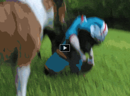 BRATM GIF: Pes vo futbalovom kostýme :D