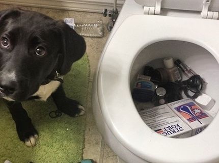 Mám len jedinú otázku... PREČO??? :D :D :D