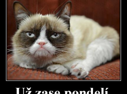 Už zase pondelí.