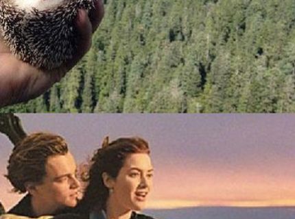 Titanic trošku inak :D