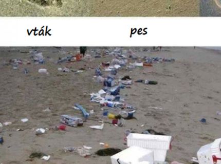 Aké stopy v prírode zanechávajú zvieratá a aké človek. Tak toto je na zamyslenie :/