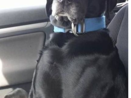 Najčastejší výraz študentov :D