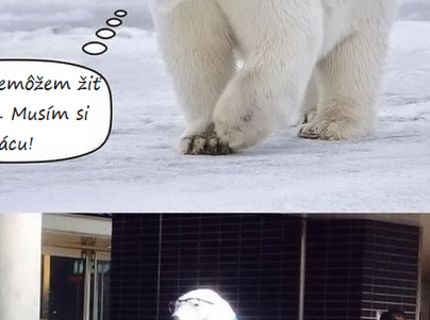 Práca ako najlepšie rozhodnutie v živote :D