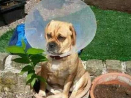 Každý má právo byť tým, kým chce :D