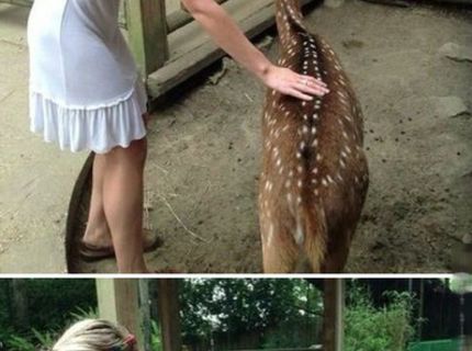 Zvieratá potrebujú našu lásku :)