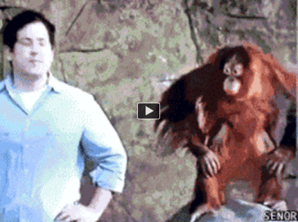 BRATM GIF: Čo vidím, to urobím :D