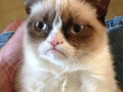 grumpy
