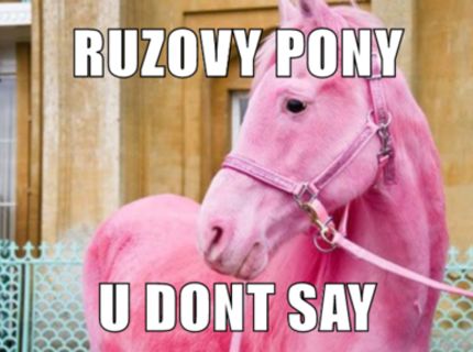 pony
