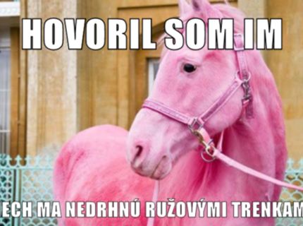 Bacha pri praní...koní