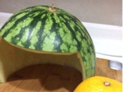 Pozri si tieto roztomilé zvieracie prilby z ovocia :D